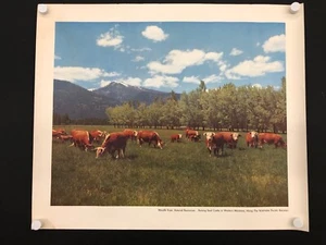 Northern Pacific Railroad West. Montana (1950er-60er Jahre) - Original Poster - 22" x 28" - Bild 1 von 3