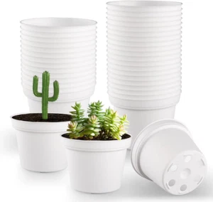 60 Pack 3 Inch White Nursery Pots - Plastic Seedling, Seed Starter, Germination - Picture 1 of 12