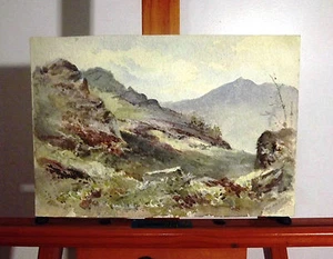 Landschaftsaquarell "In Borrowdale" aus dem 19. Jahrhundert datiert 26.08.1879 - Bild 1 von 5