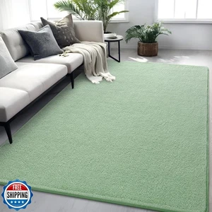 FALARK Rugs for Bedroom Living Room, 4x6 ft Sage Green Area Rug, Washable Mem - Picture 1 of 5