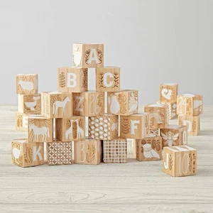 Crate&kids Crate & Barrel Etched Wooden Baby Alphabet Letter Animal Blocks - Picture 1 of 8