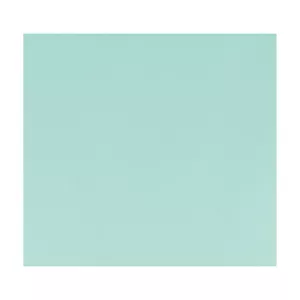 Hoja Verde De Agua Simil Cuero - 30X30X0.7 CM - Imagen 1 de 1