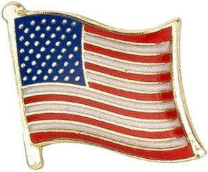 USA Flag badge American pin badge - Free Postage - Picture 1 of 2