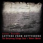 Cc17 Dorman A Letters From Gettysburg Cd Cc17 New