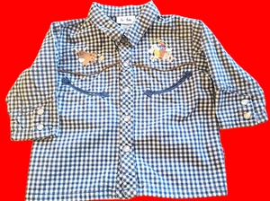 Le Top Girls Gingham  Cowboy/Cowgirl Shirt Blue and White Checked Sz 9-12 months - Picture 1 of 14