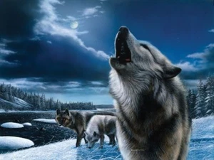 Moonlight Prowl Kevin Daniel Kunstdruck 16x12 - Bild 1 von 1