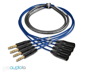 Premium 4 Kanal Mogami 2931 Schlange | Neutrik Gold TRS XLR-M | Blau 5 ft. - Bild 1 von 1