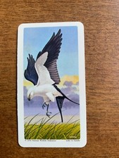 BROOKE BOND RED ROSE TEA CARDS - SERIES 13 - NORTH AMERICAN WILDLIFE IN DANGER