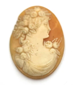 Antike große ovale Muschel Kamee Stein Frau nach rechts gerichtet 40 mm x 29,5 mm #F257 - Bild 1 von 2