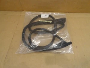 NEW 2024 - 2025 Tesla Model 3 oem Driver Left Front Door Weather Strip Seal NEW - Picture 1 of 13