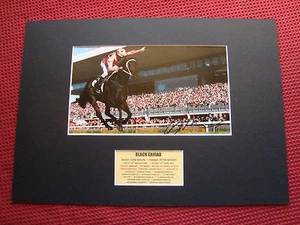 BLACK CAVIAR -CHAMPION HORSE TRAINER PETER MOODY SIGNED A3 MOUNTED PHOTO DISPLAY - Picture 1 of 3