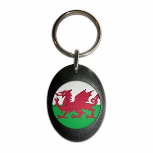 Schlüsselanhänger Wales Flagge Kunststoff oval (43 mm x 32,5 mm) - Bild 1 von 10