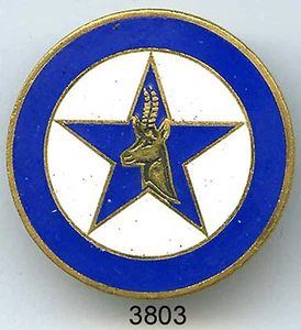 3803 - FOREIGN LEGION - 4th R.E.I - Picture 1 of 1