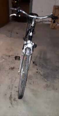 Pegasus Rimini  28 Zoll Fahrrad - Bild 1 von 4