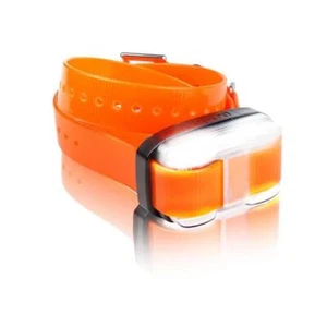 Dogtra Edge Entrenador Remoto Extra E Collar Receptor Correa Naranja - Imagen 1 de 2