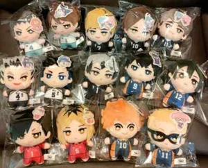 Haikyuu X SANRIO 2024 Plush Doll Toy Complete Set Japan New - Picture 1 of 2