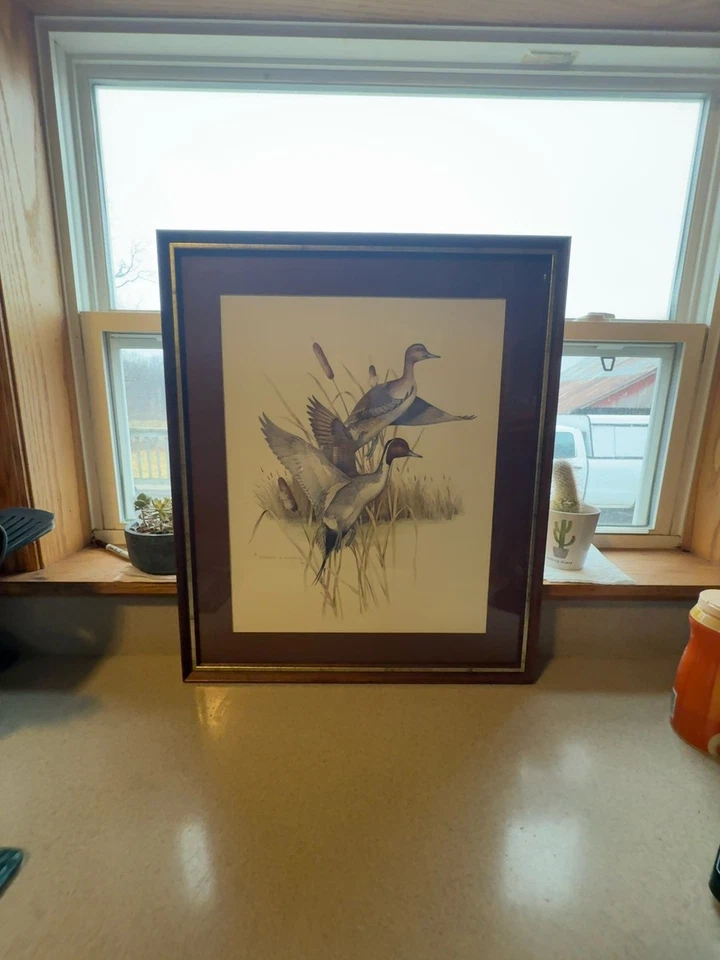 Impresión litográfica de pato pintail firmada por Charles E. Murphy Foto 1 de 2