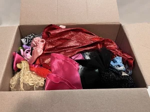 Gran Lote de Ropa y Accesorios Muñeca Barbie 5+ Libras Piezas Años 100 Años 80 hasta Ahora - Imagen 1 de 14