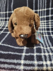 WEBKINZ COCOA LAB HM689 Neu mit unbenutztem Code  - Bild 1 von 1