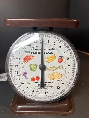 VINTAGE AMERICAN FAMILY KITCHEN SCALE BROWN 25 POUND CAPACITY Great Shape! - Image 1 of 4