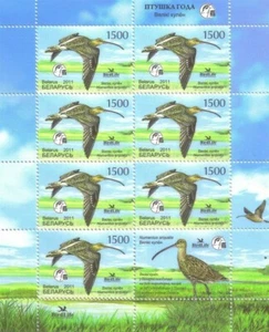 2011 Belarus Bird of the year Eurasian Curlew - Picture 1 of 1