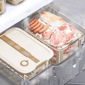 Handheld Food Storage Container Plastic Meat Freezing Box Picnic - Picture 1 of 16