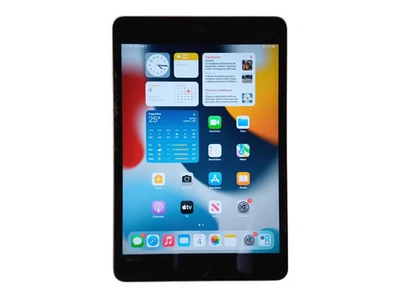 Apple iPad Mini 4th Gen - 32GB - Space Gray [A1538] Q - Bild 1 von 4