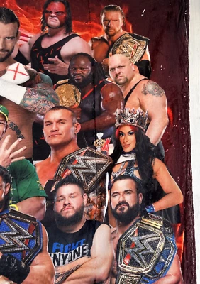 NUEVA MANTA POLAR WWE varias superestrellas aproximadamente 50x60 ver fotos Foto 1 de 4
