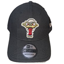 MILB Wisconsin Timber Rattlers New Era 39Thirty Medium-Large Stretch Fit Cap