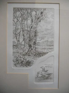SIGNED & Ltd 65 Etching by Wendy S Rapley 'Lammas Lands' - Framed & Glazed - Picture 1 of 7