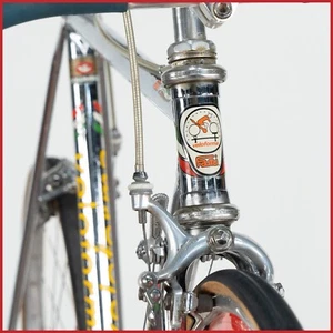 FAMI VELOFORMA TIME TRIAL CAMPAGNOLO STEEL LUGS VINTAGE OLD ROAD RACING - Picture 1 of 24