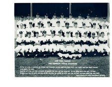 1960 NEW YORK YANKEES TEAM 8X10 PHOTO MANTLE MARIS  BASEBALL BRONX USA