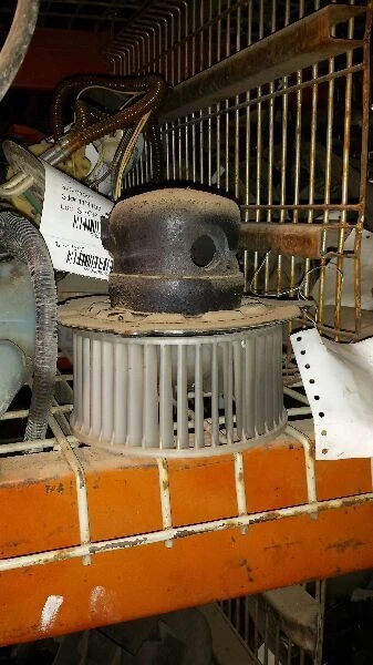 Blower Motor Front Fits 95-98 QUEST 124096 - Изображение 1 из 1