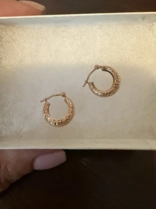 14kt Rose Gold Hoop Earrings - Picture 1 of 6