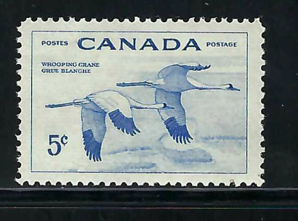 CANADÁ - SCOTT 353 - MUY BUEN ESTADO - VIDA SILVESTRE - GRÚA GRITA - 1955 Foto 1 de 1