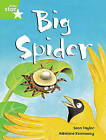 Big Spider (Rigby Star) by 