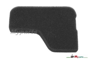 Foam Air Filter STIGA Mountfield Lawnmowers with Engine WBE140 pn 118550946/0 - Picture 1 of 7