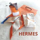 Hermes Silk Twilly