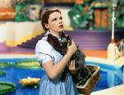 381038 Wizard Of OZ Dorothy and Toto WALL PRINT POSTER UK