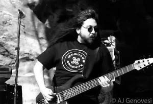 David Schools - Widespread Panic 16 x 20 inch Poster / Photo - Live Concert - Picture 1 of 1