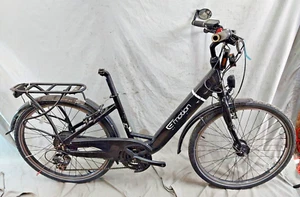 2020 Easy Motion Electric E-Bike 16.5" Small 21 Speed Shimano SIS USA Shipper :) - Picture 1 of 24