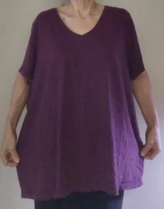 2 Woman Within Größe 4X perfekte T-Shirts mit V-Ausschnitt 1 blau 1 violett - Bild 1 von 2