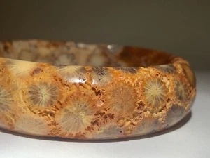 60mm Natural Petoskey Stone/ Coral Fossil Bangle/ Natural FlowerFossil - Picture 1 of 13