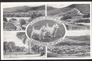 Scotland Postcard - A Double Scotch From Grantown-On-Spey A6978 - Picture 1 of 2