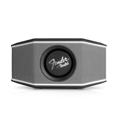 Fender x Teufel ROCKSTER GO 2 (B-Ware) Bluetooth Speaker -Tragbarer Lautsprecher