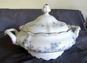 J. Haviland Baviera Germania Cina ciotola rotonda coperta per verdure top platino - Foto 1 di 6
