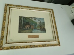 Acquerello "Cervo da abbeveratoio" del 1891 monogrammato con cornice - Foto 1 di 9