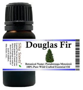 Douglasie Wild Crafted Essential Oil (Pseudotsuga Menziesii) 100% Pure Therap - Bild 1 von 14