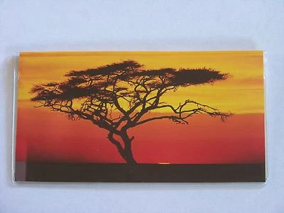 Cubierta de chequera de vinilo Sunset #1  Foto 1 de 2