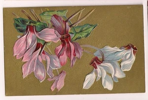 Schöne rosa & weiße Blumen Blumen Postkarte - Bild 1 von 1